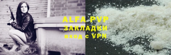 хмурый Аркадак
