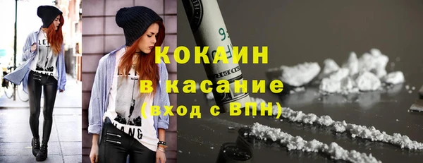 индика Армянск