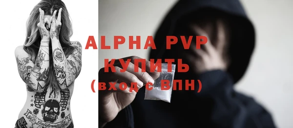 хмурый Аркадак