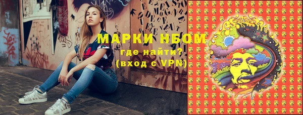 индика Армянск