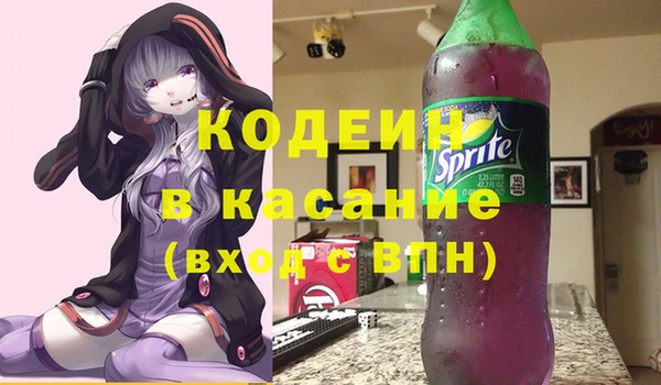 хмурый Аркадак